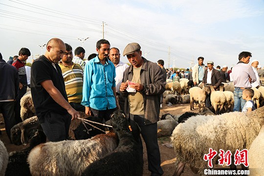 المسلمون بشينجيانغ يستقبلون عيد الأضحى المبارك