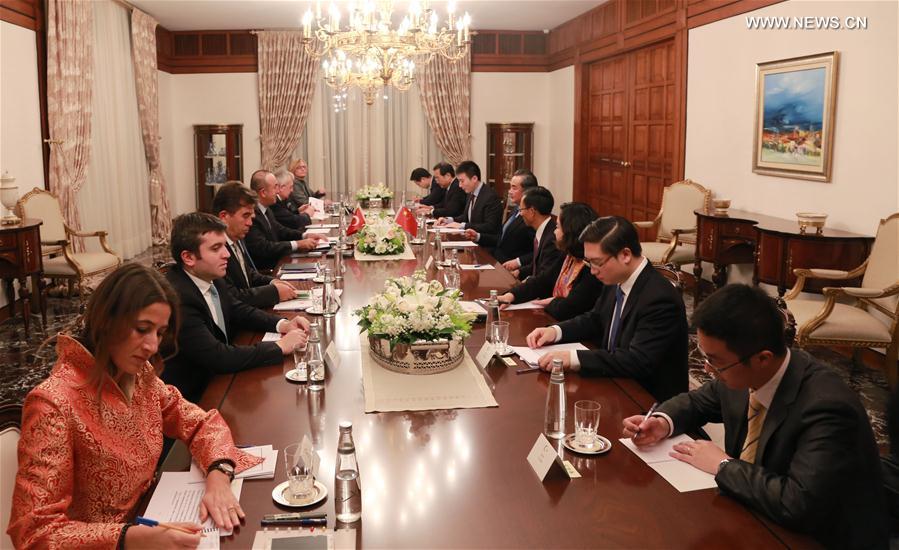 وزيرا خارجية الصين وتركيا يتحدثان بشأن التعاون الاستراتيجي ومكافحة الإرهاب