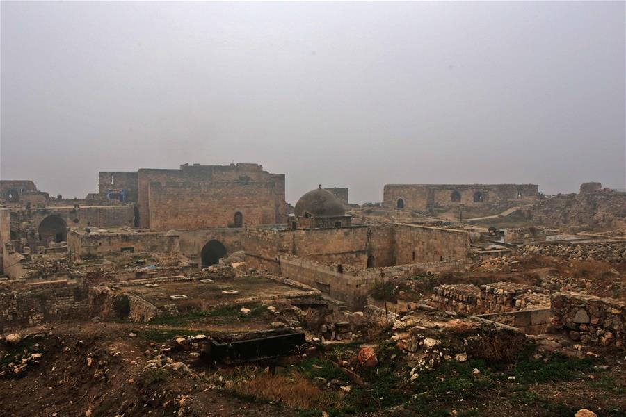 الأسد يتعهد بالاستمرار في القتال بعد تحرير حلب