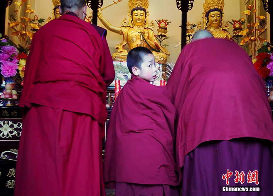 اختتام مسابقة التصوير بجبل ووتاي الصيني حول الثقافة البوذية