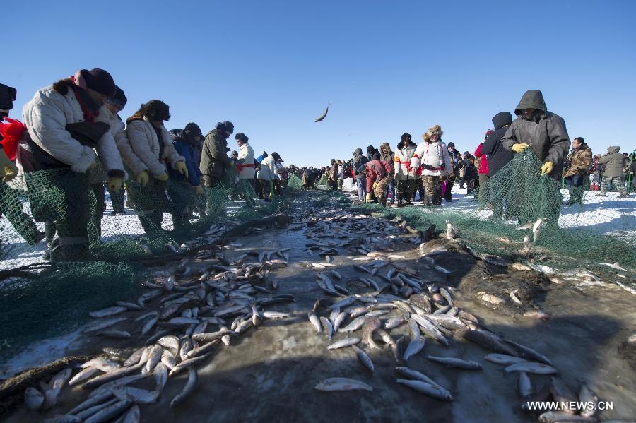 صيد الأسماك في بحيرة دالينور بشمالي الصين