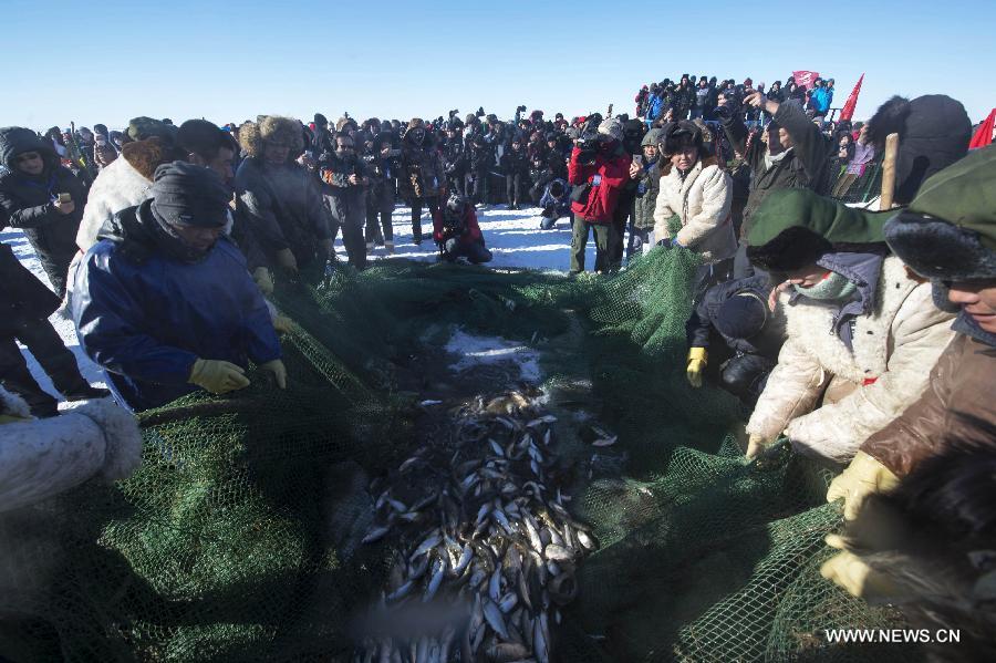 صيد الأسماك في بحيرة دالينور بشمالي الصين