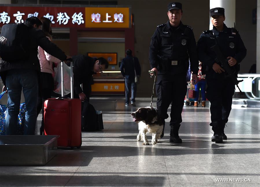 كلب الشرطة في شرقي الصين