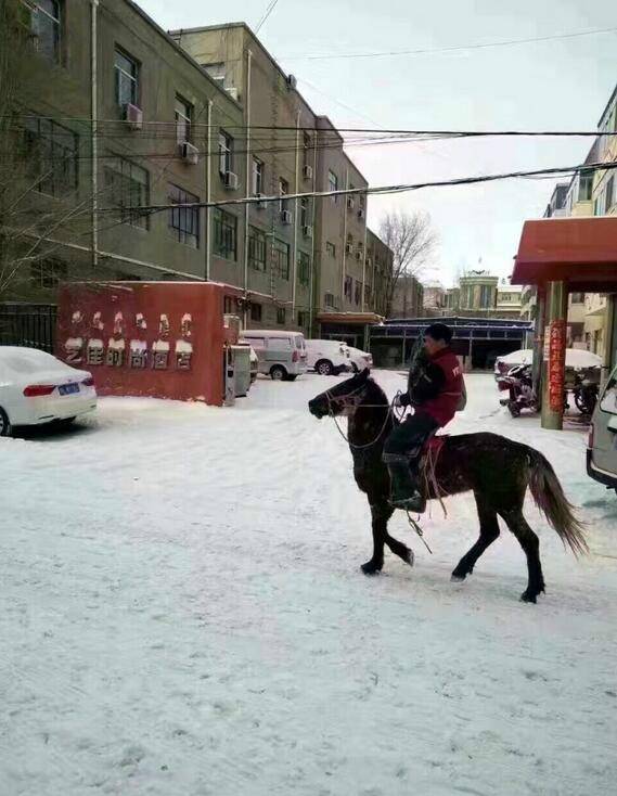 مسلم طرود يركب خيلا فى منغوليا يجذب الأنظار