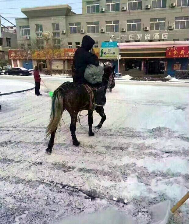 مسلم طرود يركب خيلا فى منغوليا يجذب الأنظار