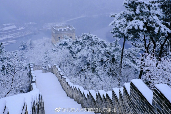 بكين: عندما تتقابل موسم الزهور بثلوج الربيع