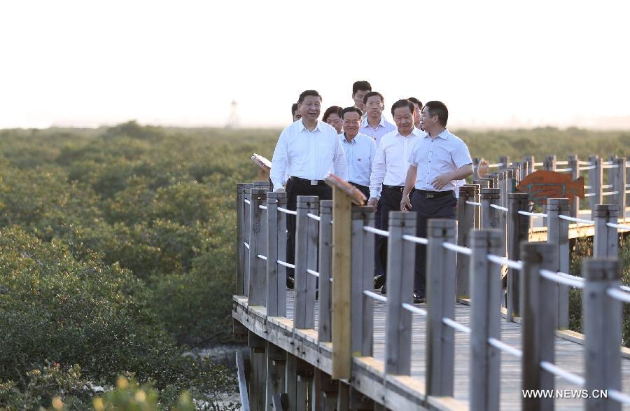 الرئيس الصيني يحث قوانغتشي على لعب دور أكبر في مبادرة الحزام والطريق