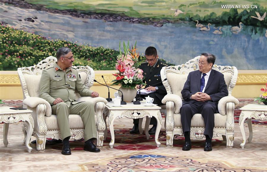 الصين تشيد بدعم باكستان في محاربة الارهاب