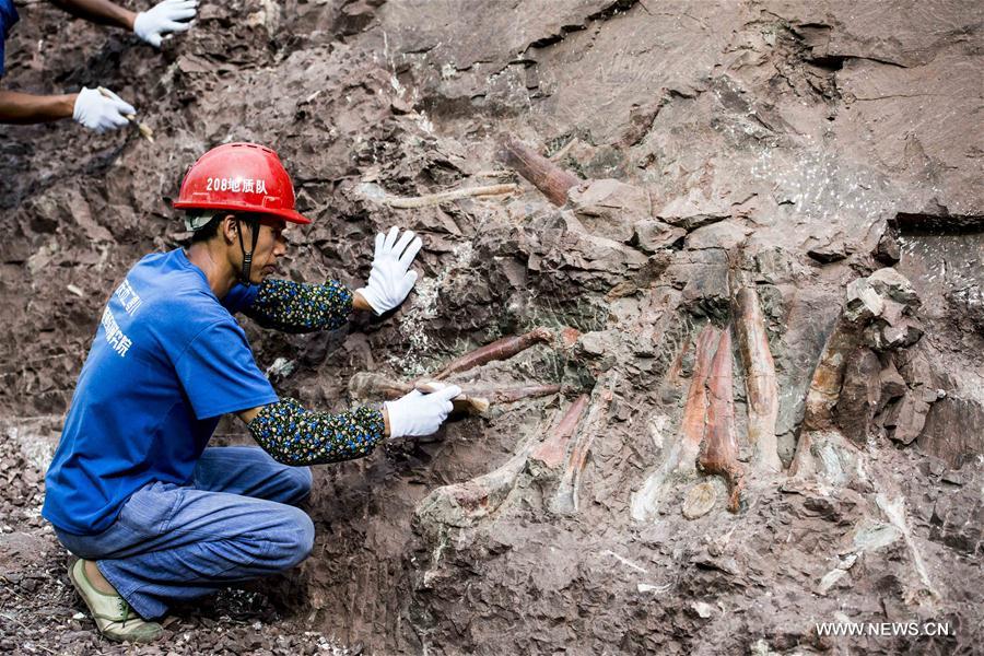 اكتشاف موقع كبير لأحافير الديناصورات في جنوب غربي الصين