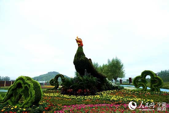 الدورة التاسعة لمعرض الزهور الصينية تعقد في نينغشيا