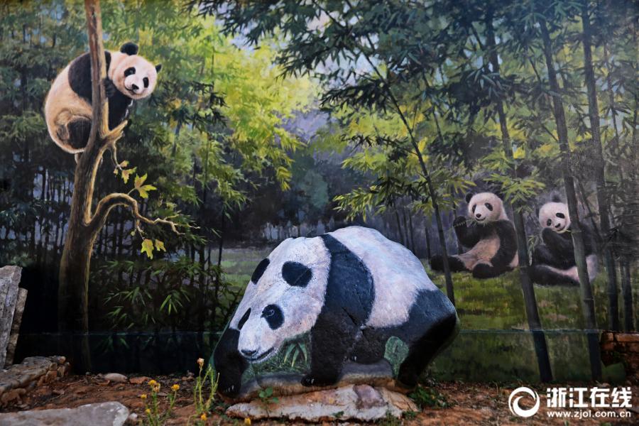 رسوم حيوانات ثلاثية الأبعاد على الأحجار تزين قرية صينية