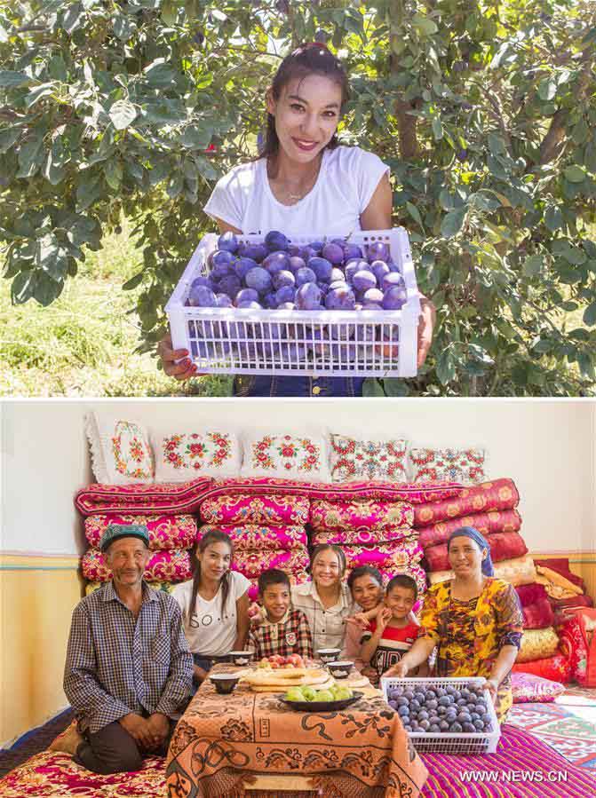 تطوير زراعة الفواكه يساعد الفلاحين المحليين على التخلص من الفقر في شينجيانغ