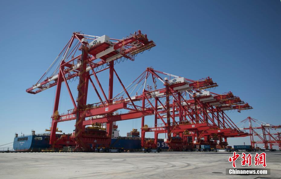 أكبر ميناء آلي سيفتتح قريبا في شنغهاي