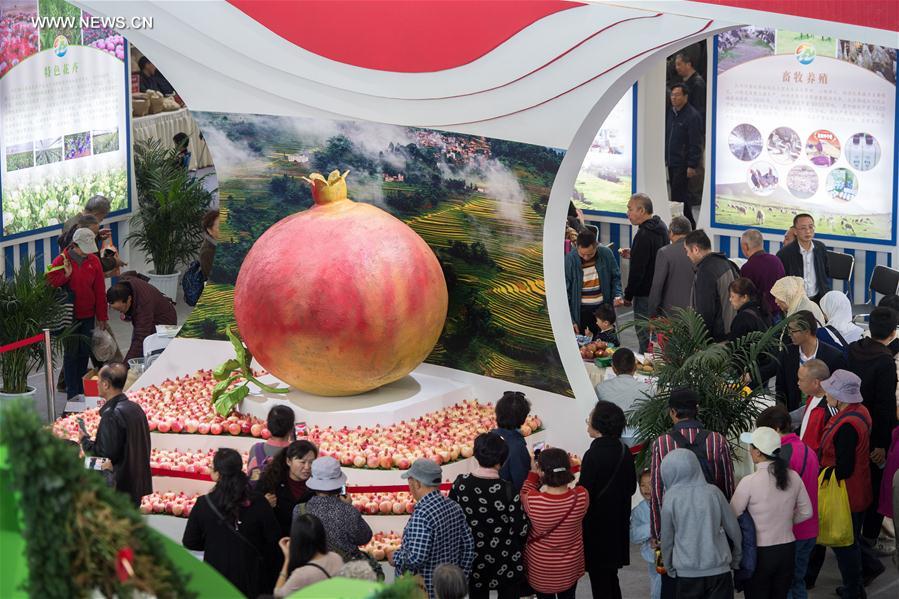 معرض الصين الدولي الـ13 للزراعة