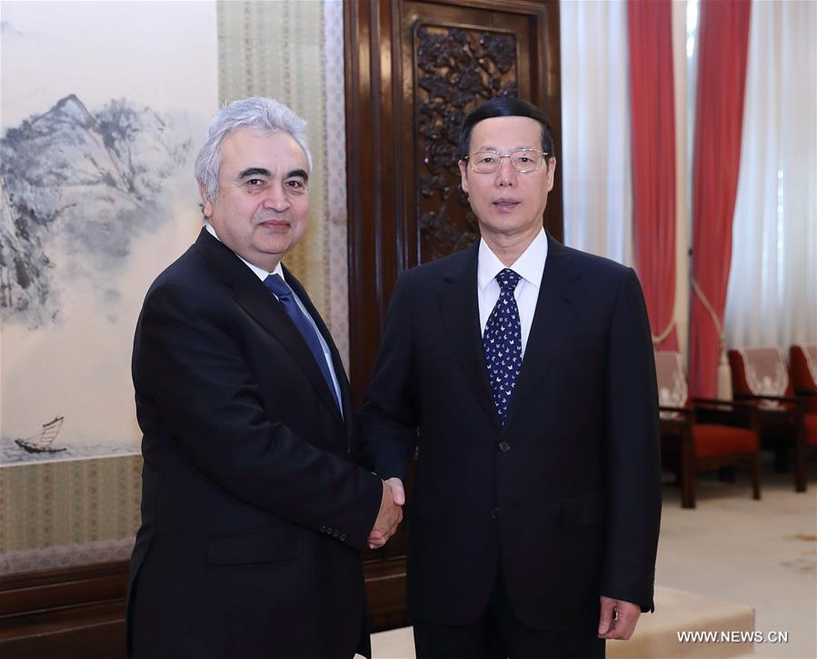 نائب رئيس مجلس الدولة: الصين تأمل في تعزيز التعاون مع وكالة الطاقة الدولية
