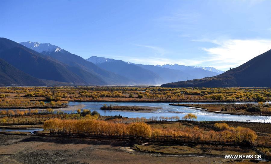 منطقة استوائية في التبت تستقبل حوالي 5 ملايين زائر في فترة يناير - نوفمبر 2017