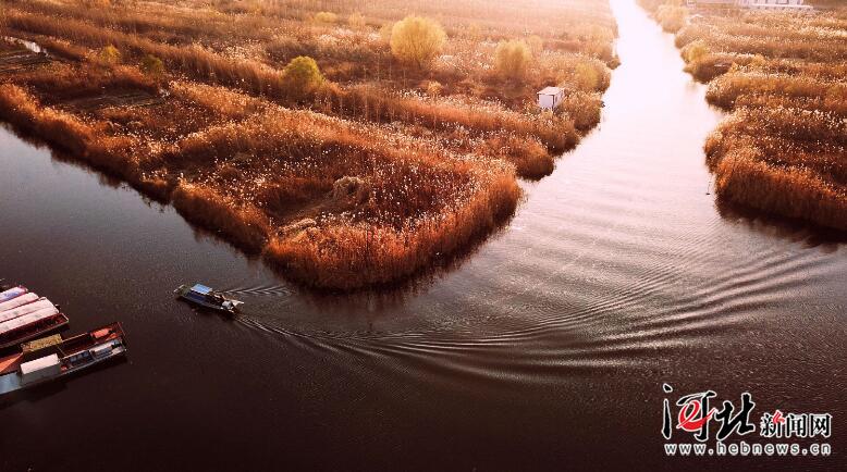 مناظر جذابة في بحيرة باي يانغ ديان