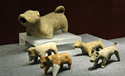 " الكلب".. موضوع معرض الآثار الثقافية يعقد في متحف نانجينغ