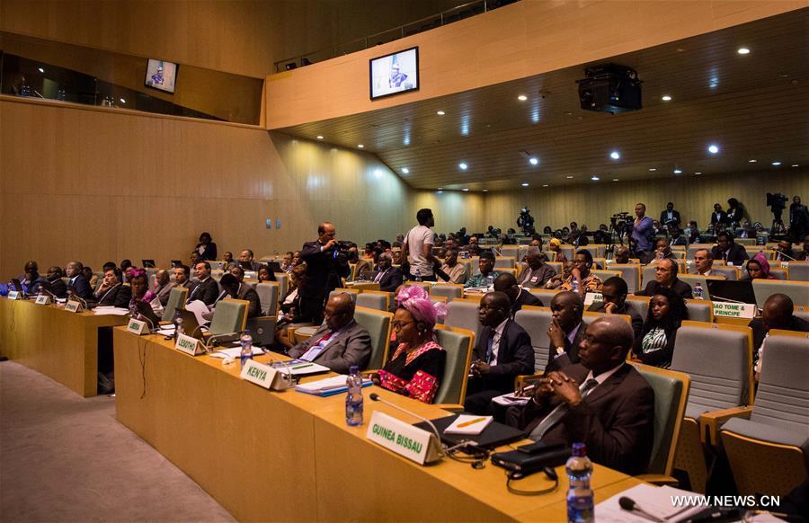 قمة الاتحاد الأفريقي الثلاثين تبدأ بجلسة للمبعوثين