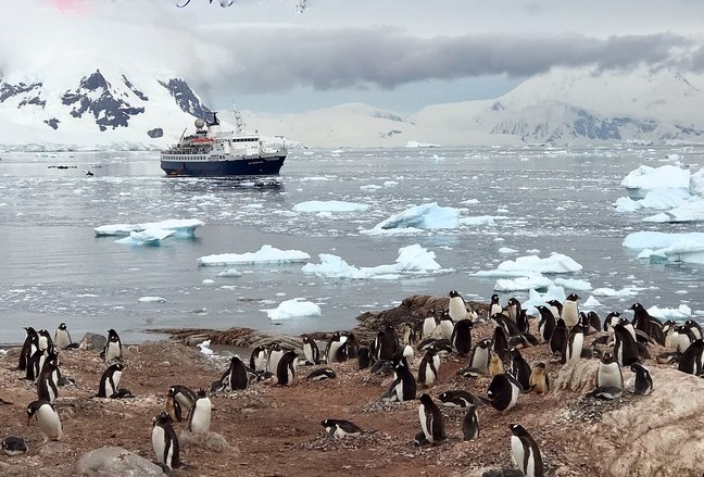 مع حلول عيد الربيع، سياحة القطب الجنوبي تلقى إقبالا واسعا رغم غلائها