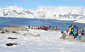 مع حلول عيد الربيع، سياحة القطب الجنوبي تلقى إقبالا واسعا رغم غلائها