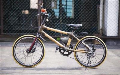 دراجة الخيزران .. يصنعها شابان من سيتشوان وتباع في أوروبا
