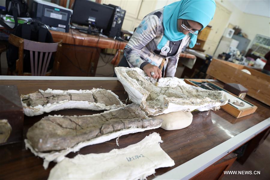 مقالة : اكتشاف مصر ديناصور نادر يؤكد وجود اتصال بين أفريقيا وأوربا منذ 80 مليون سنة