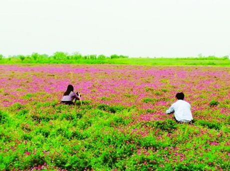 تدابير صينية جديدة لوقف إستنزاف الأراضي الزراعية