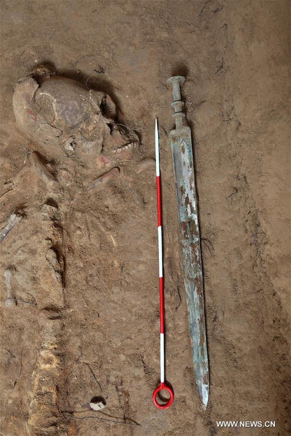 الصين تكتشف خمرا عمره أكثر من 2000 عام في مقبرة قديمة شمال غربي البلاد