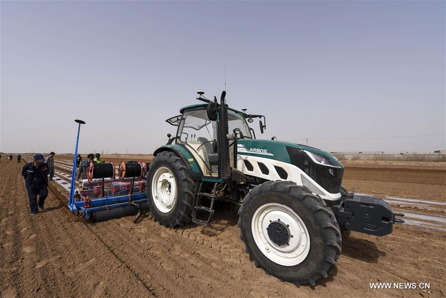 استخدام معدات ذكية في الإنتاج الزراعي في شمال غربي الصين