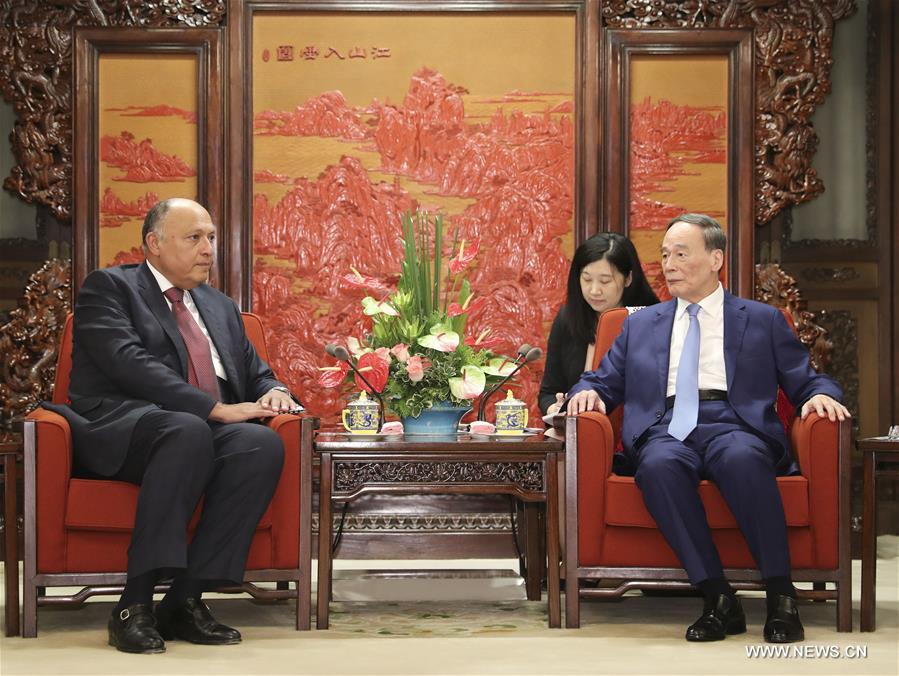 نائب الرئيس الصيني يلتقي الأمين العام لجامعة الدول العربية ووزير الخارجية المصري