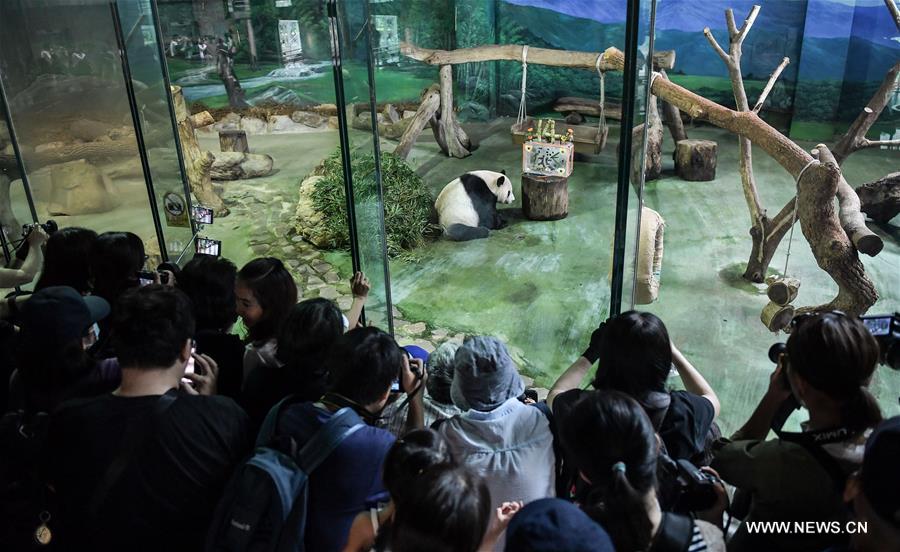 حديقة الحيوانات في مدينة تايبي تحتفل بعيد ميلاد الباندا 