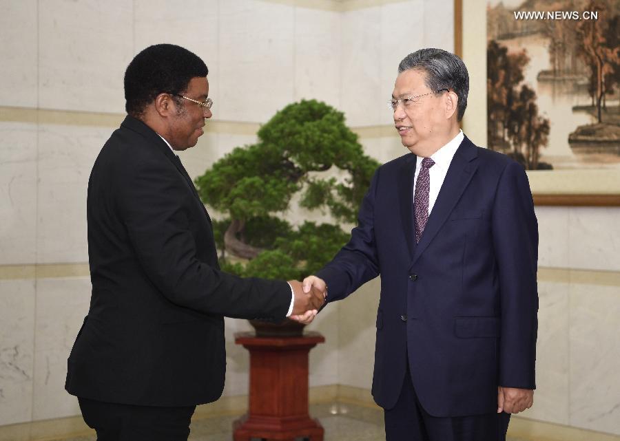 مسئول كبير بالحزب الشيوعي الصيني يلتقي رئيس وزراء تنزانيا