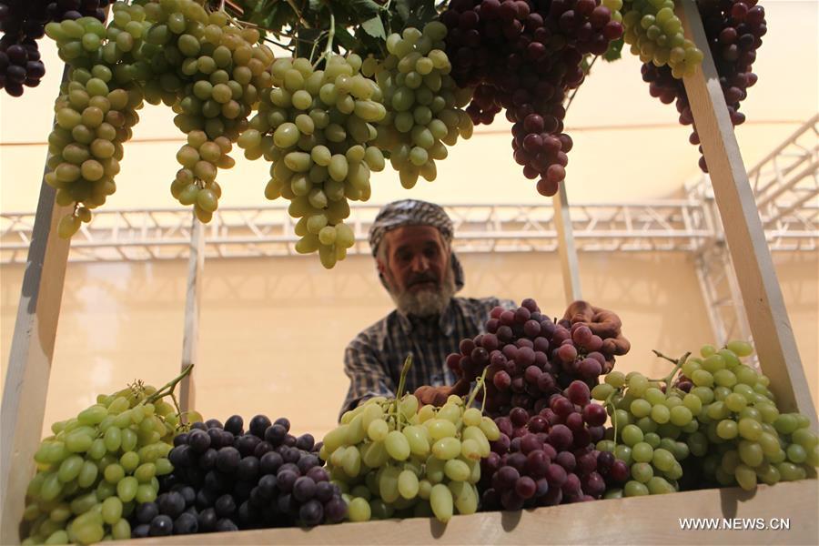 مهرجان العنب في مدينة الخليل بالضفة الغربية