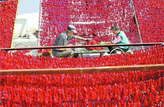 الفلفل الأحمر الشينجيانغي مادة خام لا غني عنها في ماركات عالمية من أحمر الشفاه