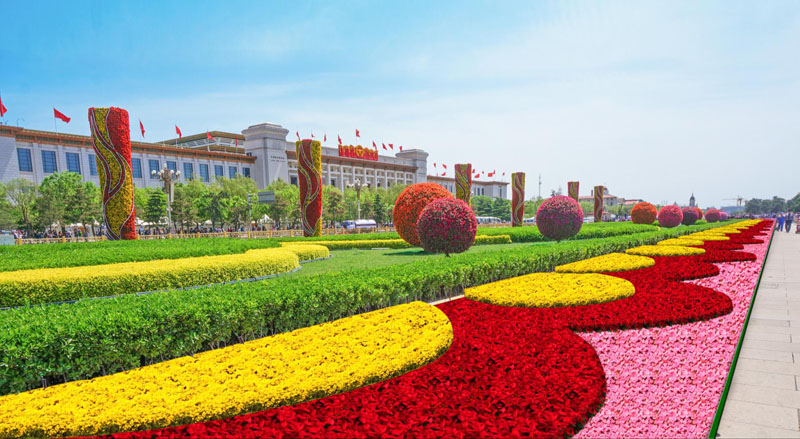 نصب سلة زهور بارتفاع 17 مترا في ميدان تيانآنمن بمناسبة العيد الوطني الصيني