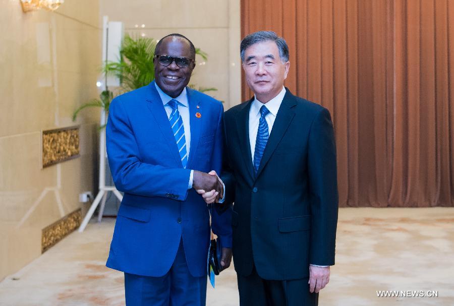 كبير المستشارين السياسيين الصينيين يلتقى مع مسئول من الكونغو الديمقراطية