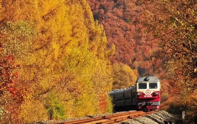 المحطة التالية، الخريف الذهبي: القطار الاخضر في تشانغباي