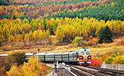 المحطة التالية، الخريف الذهبي: القطار الاخضر في تشانغباي