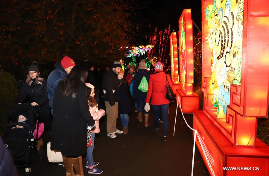 مهرجان فوانيس صيني يجذب جمهورا كبيرا في دبلن