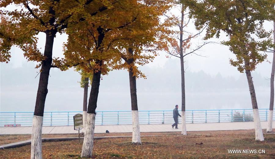 ضباب دخانى كثيف يغطي شمالي الصين