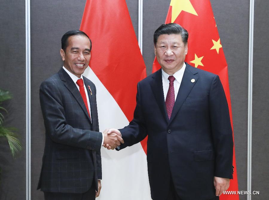 الصين وإندونيسيا تتفقان على تعزيز التعاون الثنائي