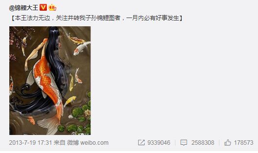سمك الكوي لجلب الحظ .. حقيقة أم معتقد خرافي جديد لدى الشباب الصينيين؟