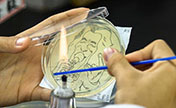 طلاب صينيون يرسمون بالبكتيريا