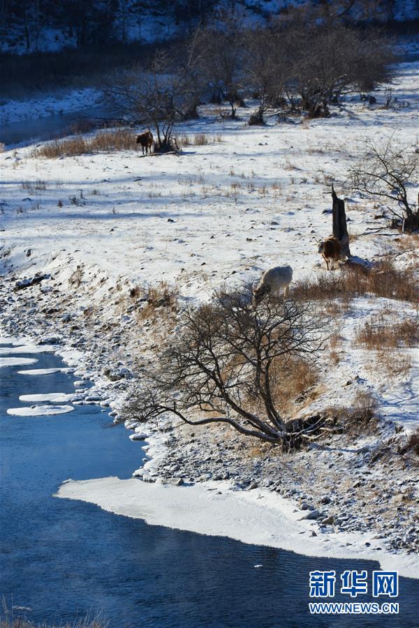نهر هولاهو .. النهر الذي لا يتجمد رغم البرودة الشديدة