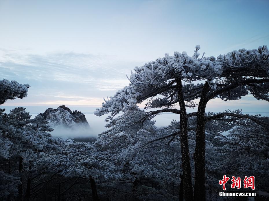 بالصور: مشهد بحر الغيوم وزهور الصقيع بعد تساقط الثلوج في جبال هوانغشان