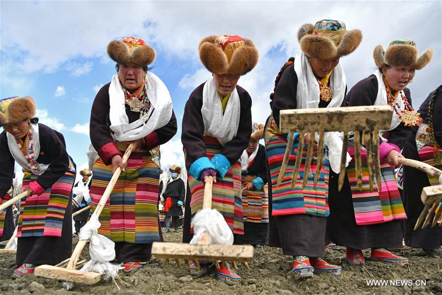 بدء الأعمال الزراعية في منطقة التبت في جنوب غربي الصين