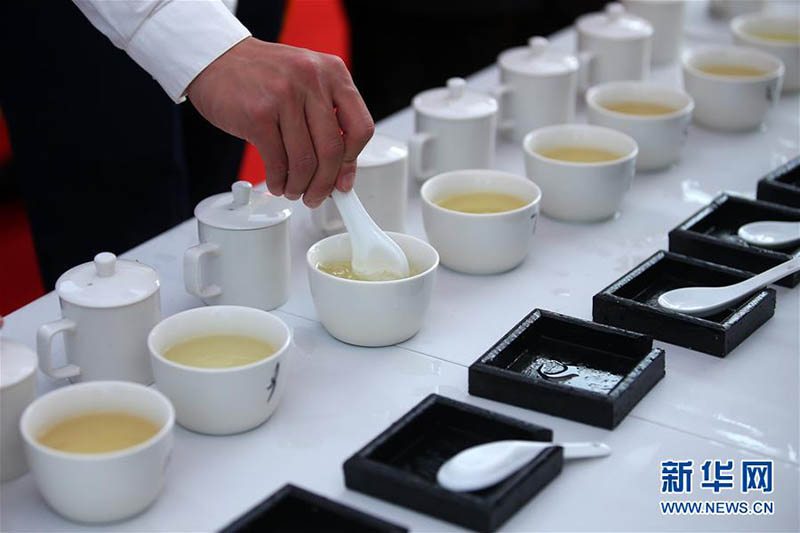 بالصور: كيف يمكن اختيار النوع المثالي للشاي الأخضر؟