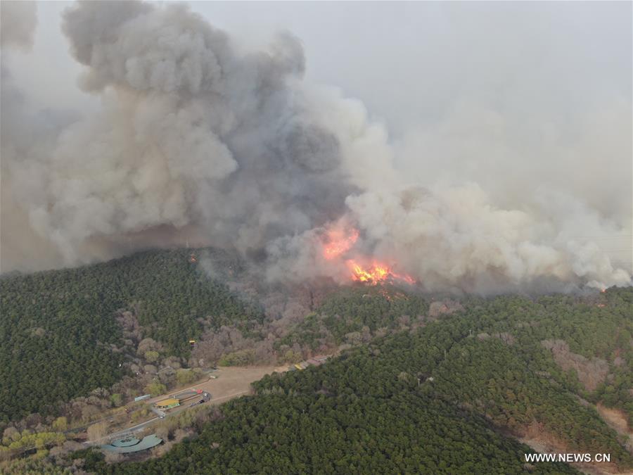 الآلاف يكافحون حريقا جبليا في شمال شرقي الصين