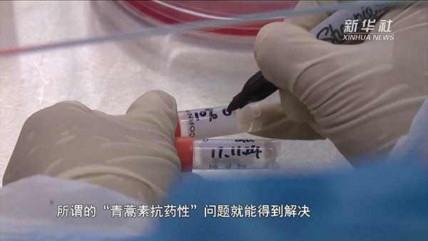 فريق العالمة تويويو يحقق انجازا جديدا في علاج الملاريا